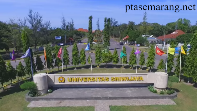 Berikut Daftar Universitas Swasta Favorit di Palembang